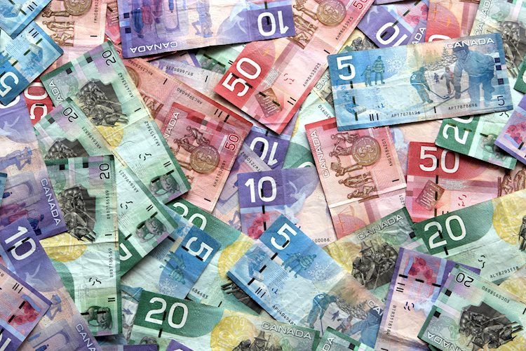 Canadian Dollar tumbles to fresh multi-year lows