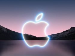 苹果(AAPL.US)在华销售乏力：iPhone 2月出货量下降33%